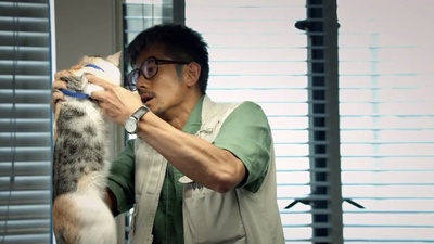 踏血寻梅剧照的剧照