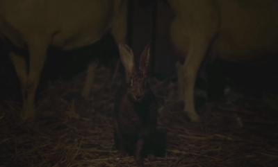 女巫剧照的剧照