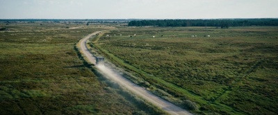 地雷区剧照的剧照