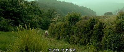 鬼乡剧照的剧照