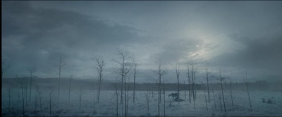 荒野猎人剧照的剧照