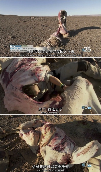 荒野猎人剧照的剧照