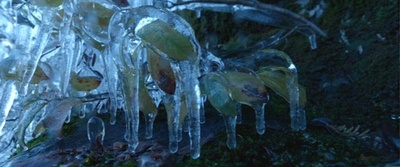 荒野猎人剧照的剧照