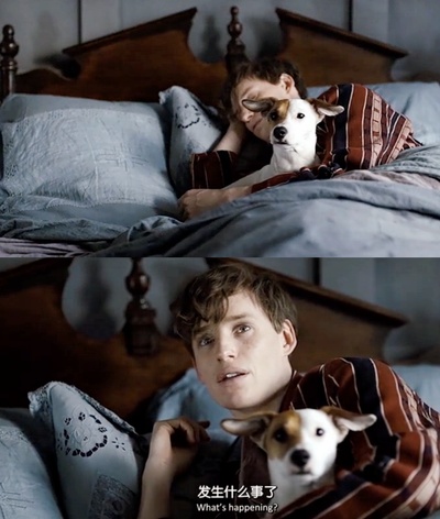 丹麦女孩剧照的剧照