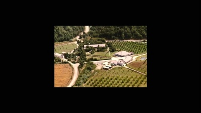 尊严殖民地剧照的剧照