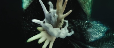 西游记之孙悟空三打白骨精剧照的剧照