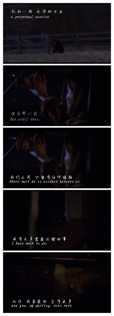 卡罗尔剧照的剧照