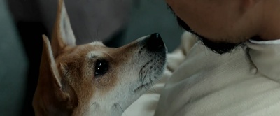 师父剧照的剧照