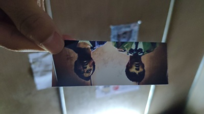 唐人街探案剧照的剧照