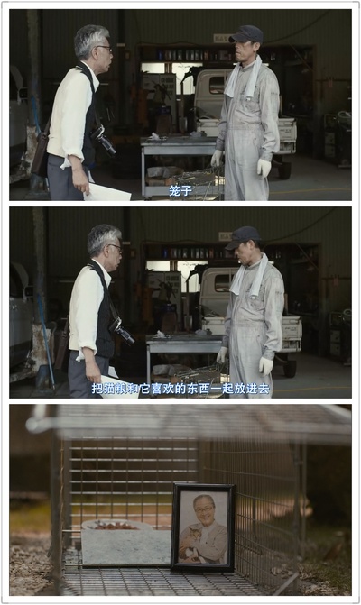 老师与流浪猫剧照的剧照