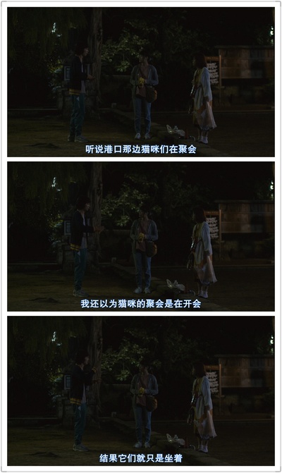 老师与流浪猫剧照的剧照