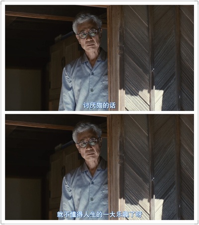 老师与流浪猫剧照的剧照