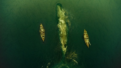 海洋深处剧照的剧照