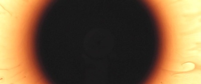 同步剧照的剧照