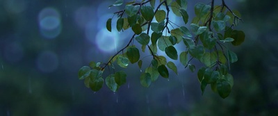 恐龙当家剧照的剧照