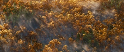 恐龙当家剧照的剧照