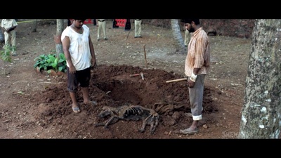 误杀瞒天记剧照的剧照