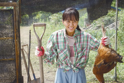 纯情剧照的剧照