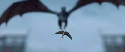 他是龙剧照的剧照