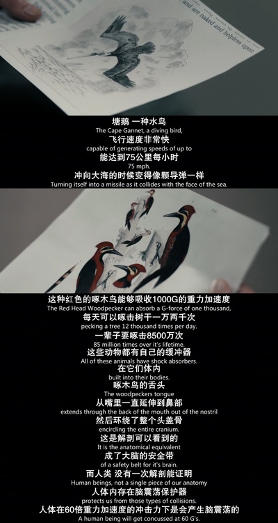 震荡效应剧照的剧照