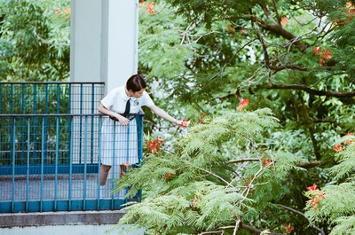 哪一天我们会飞剧照的剧照