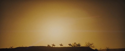 拿起枪的简剧照的剧照