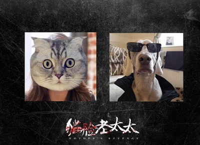 猫脸老太太剧照的剧照