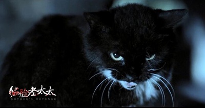 猫脸老太太剧照的剧照