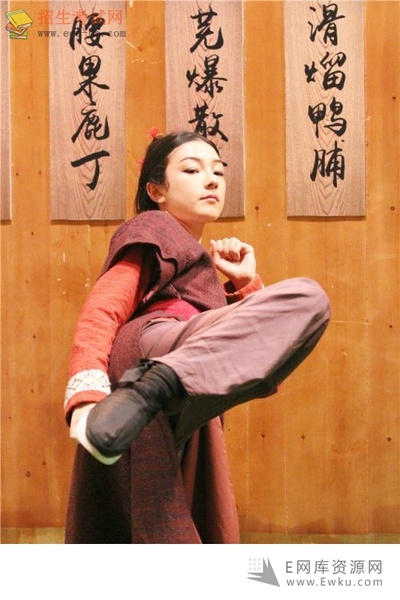 卧虎藏龙：青冥宝剑剧照的剧照