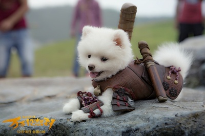 万万没想到剧照的剧照