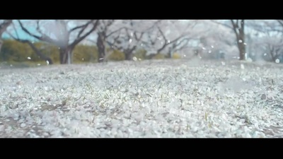 陪安东尼度过漫长岁月剧照的剧照