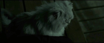 无声夜剧照的剧照