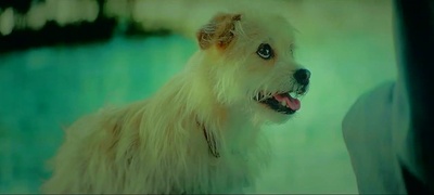 恶棍天使剧照的剧照