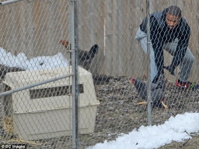 奎迪剧照的剧照