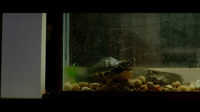 奎迪剧照的剧照