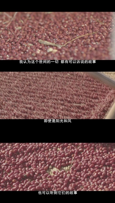 澄沙之味剧照的剧照