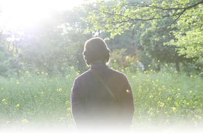 澄沙之味剧照的剧照