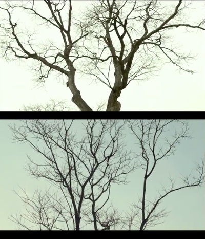 这时对那时错剧照的剧照