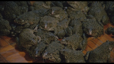 面青青有排惊剧照的剧照