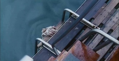 山狗1999剧照的剧照