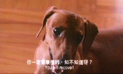 还是觉得您最好剧照的剧照