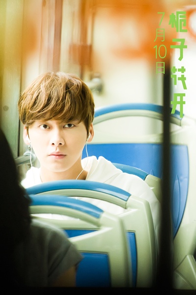 栀子花开剧照的剧照