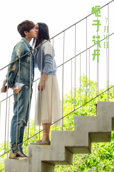 栀子花开剧照的剧照