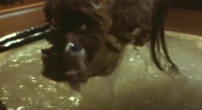 溶尸奇案剧照的剧照