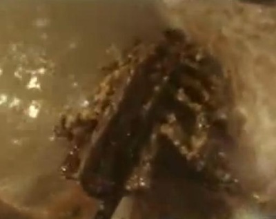 溶尸奇案剧照的剧照