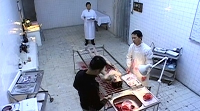 福伯剧照的剧照