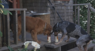 落水姻缘剧照的剧照