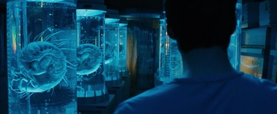 移动迷宫2剧照的剧照