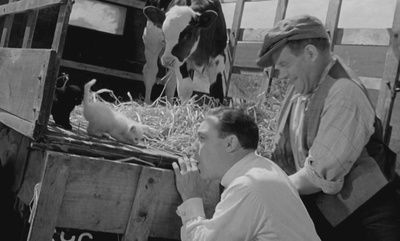 一路福星剧照的剧照