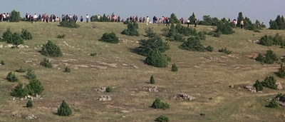 致命的女性剧照的剧照